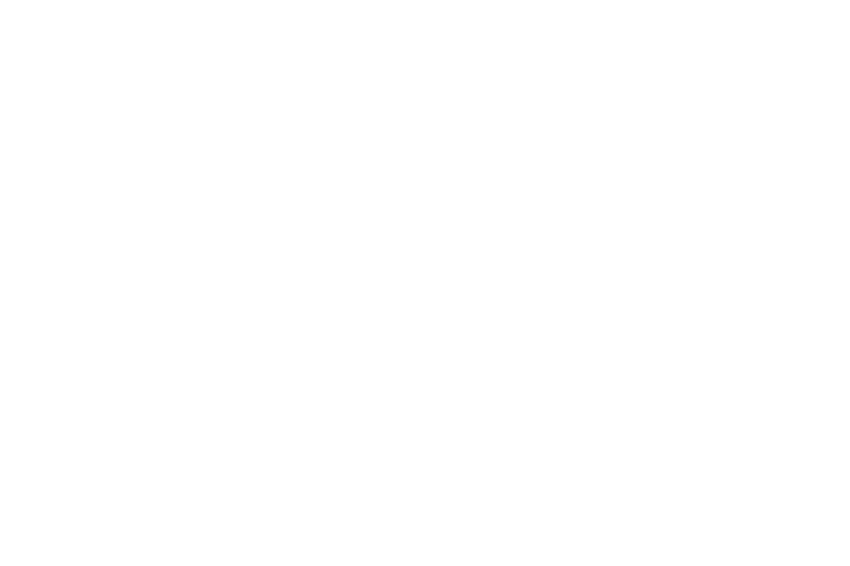 holmes logo